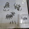 60Pcs 3 Style Alloy Rhinestone Bar Spacers ALRI-FH0001-05-1