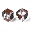 Transparent Acrylic Beads TACR-T004-10A-2