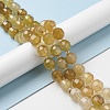 Natural Agate Beads Strands G-C039-D02-2