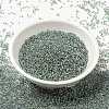MIYUKI Round Rocailles Beads X-SEED-G009-RR3201-3