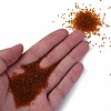 15/0 Transparent Czech Glass Seed Beads SEED-N004-004-17-5
