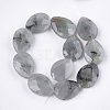 Natural Labradorite Beads Strands G-S354-07-2