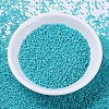MIYUKI Delica Beads SEED-X0054-DB0658-2