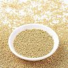 MIYUKI Round Rocailles Beads LS-X-SEED-G007-RR1052-2