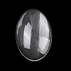 Transparent Oval Glass Cabochons X-GGLA-R022-30x20-4