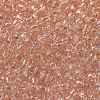 TOHO 15/0 Round Beads X-SEED-TR15-0011-2