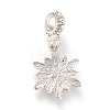 Alloy European Dangle Charms X-MPDL-S054-M-3