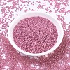 MIYUKI Round Rocailles Beads SEED-JP0008-RR0556-2