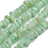 Shell Beads Strands BSHE-G026-02B-1