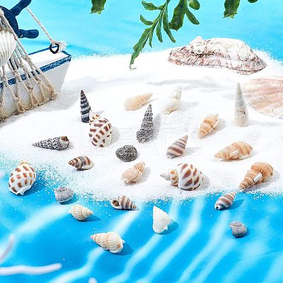 140Pcs 2 Style Natural Shell Beads SSHEL-FH0001-08-1