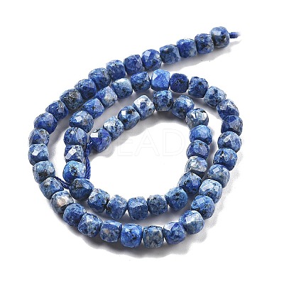 Dyed Natural Sesame Jasper Beads Strands G-C179-B02-01-1