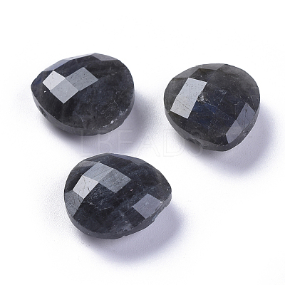 Natural Mixed Stone Charms G-L547-044-1