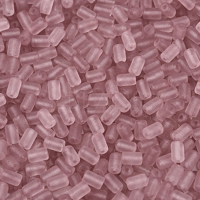 FGB Frosted Transparent Glass Seed Beads SEED-N013-05A-06-1