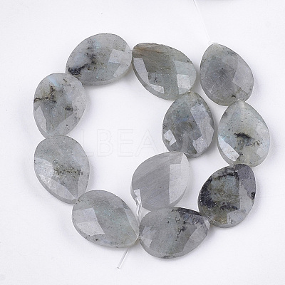Natural Labradorite Beads Strands G-S354-07-1