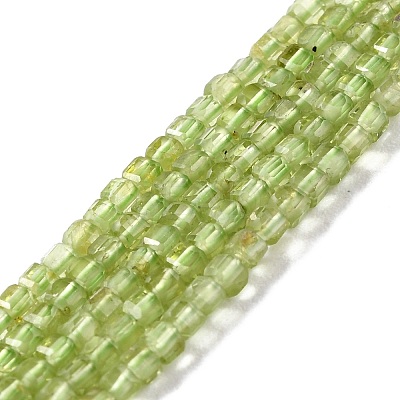 Natural Peridot Beads Strands G-K312-07A-1