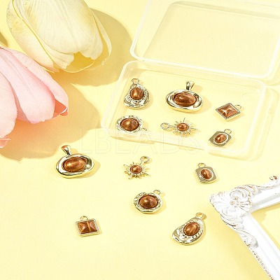 12Pcs 6 Styles Alloy Resin Pendants FIND-FS0004-05-1