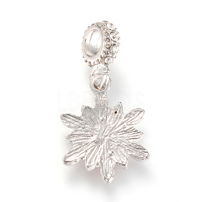 Alloy European Dangle Charms X-MPDL-S054-M-1