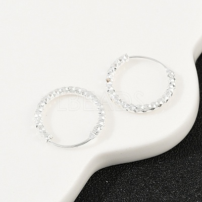 Brass Textured Hoop Earrings EJEW-F378-03B-S-1