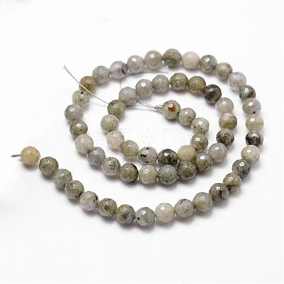 Natural Labradorite Beads Strands G-D840-10-6mm-1