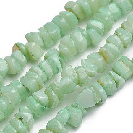 Shell Beads Strands BSHE-G026-02B-1