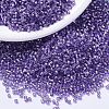 MIYUKI Delica Beads SEED-X0054-DB1347-1