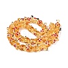 Handmade Lampwork Beads Strands LAMP-N024-36E-2