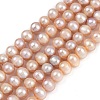 Natural Cultured Freshwater Pearl Beads Strands PEAR-I007-07J-07B-2