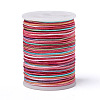 Segment Dyed Polyester Thread NWIR-I013-A-02-1