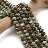 Natural Rhyolite Jasper Beads Strands G-Z111-A14-01-1