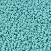 MIYUKI Delica Beads SEED-MY11-DB1586-3