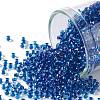 TOHO Round Seed Beads SEED-TR11-0189-1