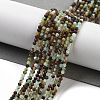 Natural Chrysoprase Beads Strands G-G140-A14-07-2
