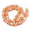 Natural Freshwater Shell Beads Strands SHEL-N003-23-B06-2