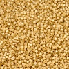 MIYUKI Delica Beads SEED-X0054-DB2186-3