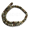 Natural Rhyolite Jasper Beads Strands G-Z111-A14-01-5