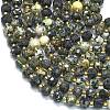 Natural African Turquoise(Jasper) Beads Strands G-K389-E71-01-3