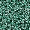 TOHO Round Seed Beads X-SEED-TR08-0561-2