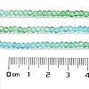 Transparent Painted Glass Beads Strands DGLA-A034-T1mm-A17-3