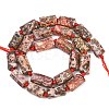 Natural Red Leopard Skin Jasper Beads Strands G-A314-A05-01-3