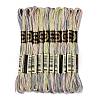 10 Skeins 6-Ply Polyester Embroidery Floss OCOR-K006-A08-1