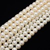 Natural Cultured Freshwater Pearl Beads Strands PEAR-L001-I-13-1