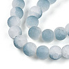Crackle Glass Beads Strands GLAA-N009-10mm-06-3