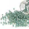 TOHO Round Seed Beads SEED-XTR11-0953-1