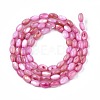 Freshwater Shell Beads Strands SHEL-T009-B15-03-2