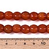 Dyed Natural Agate Beads Strands G-T144-50A-04-5