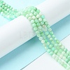 Natural Chrysoprase Beads Strands G-F748-X01-03A-2