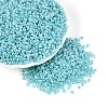 Glass Seed Beads SEED-A011-3mm-154-1
