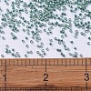 MIYUKI Delica Beads SEED-X0054-DB0416-4