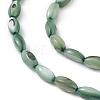 Natural Freshwater Shell Dyed Beads Strands SHEL-M018-13-11-3