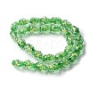 Handmade Foil Lampwork Beads Strands FOIL-Z001-06G-1